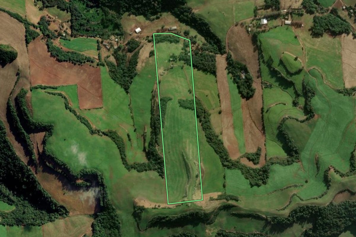 Imagem de satélite do imóvel rural em Montauri (RS), com o contorno declarado no CAR desenhado por cima.
