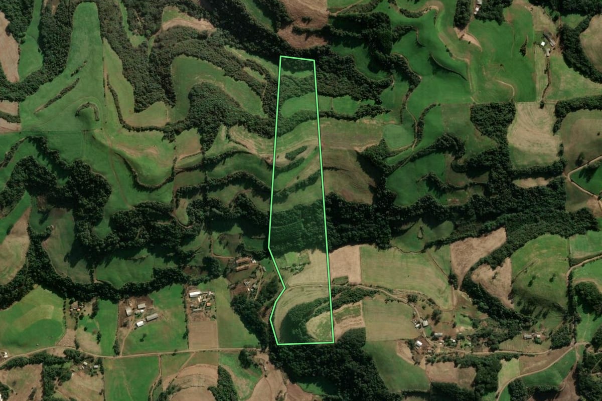 Imagem de satélite do imóvel rural em Montauri (RS), com o contorno declarado no CAR desenhado por cima.