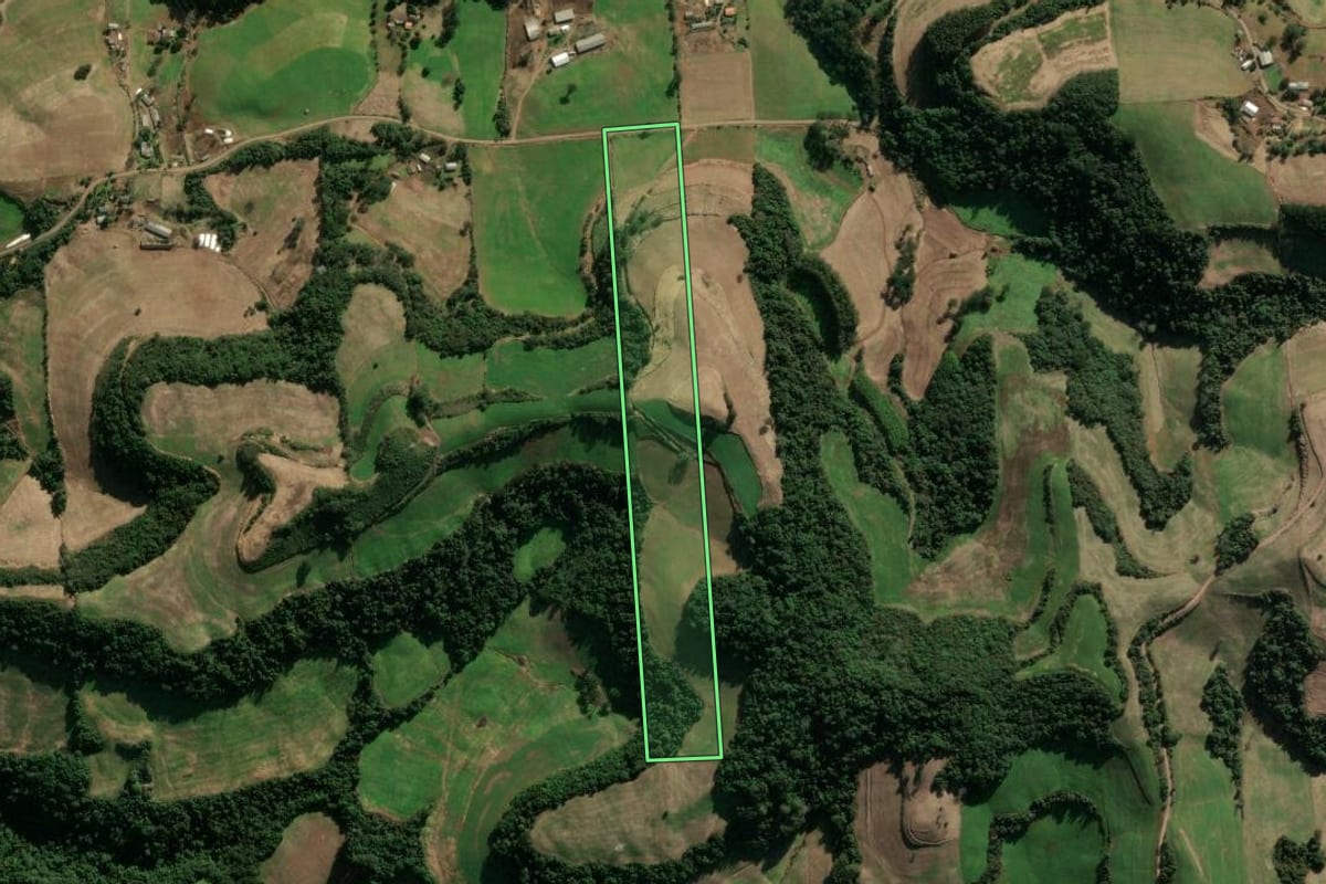 Imagem de satélite do imóvel rural em Montauri (RS), com o contorno declarado no CAR desenhado por cima.