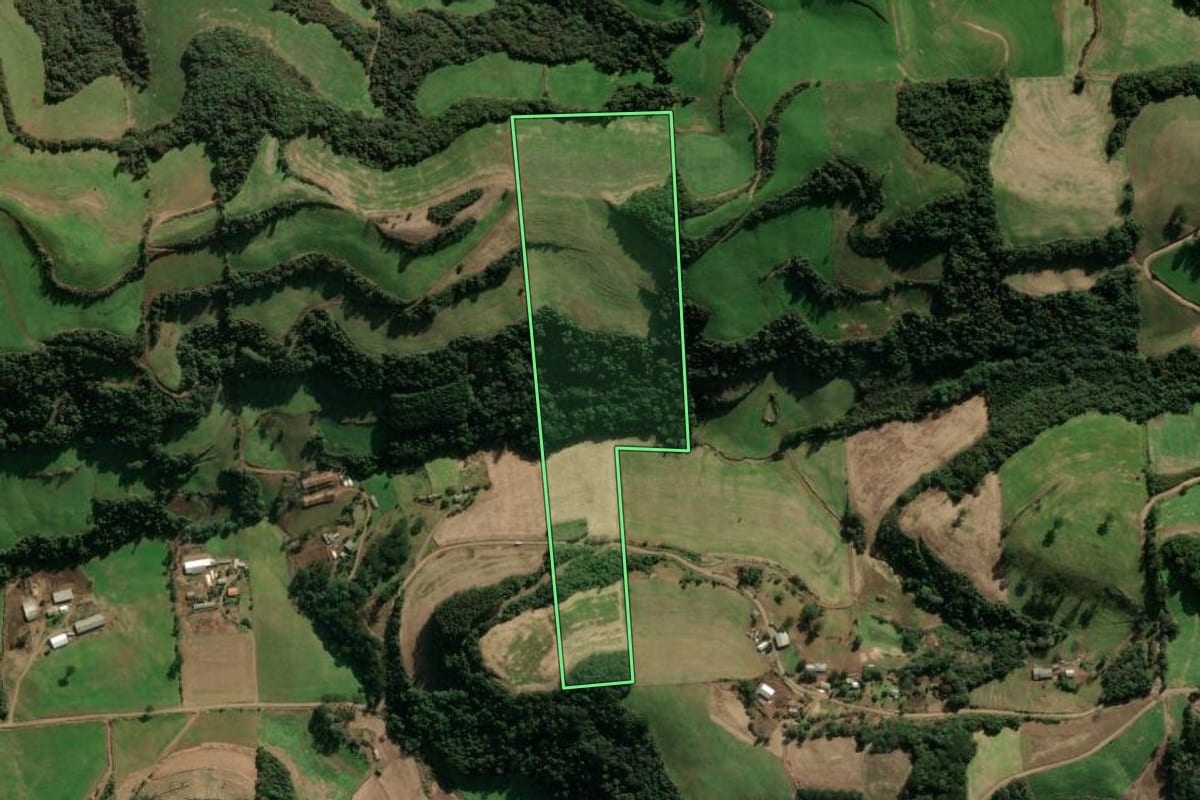 Imagem de satélite do imóvel rural em Montauri (RS), com o contorno declarado no CAR desenhado por cima.
