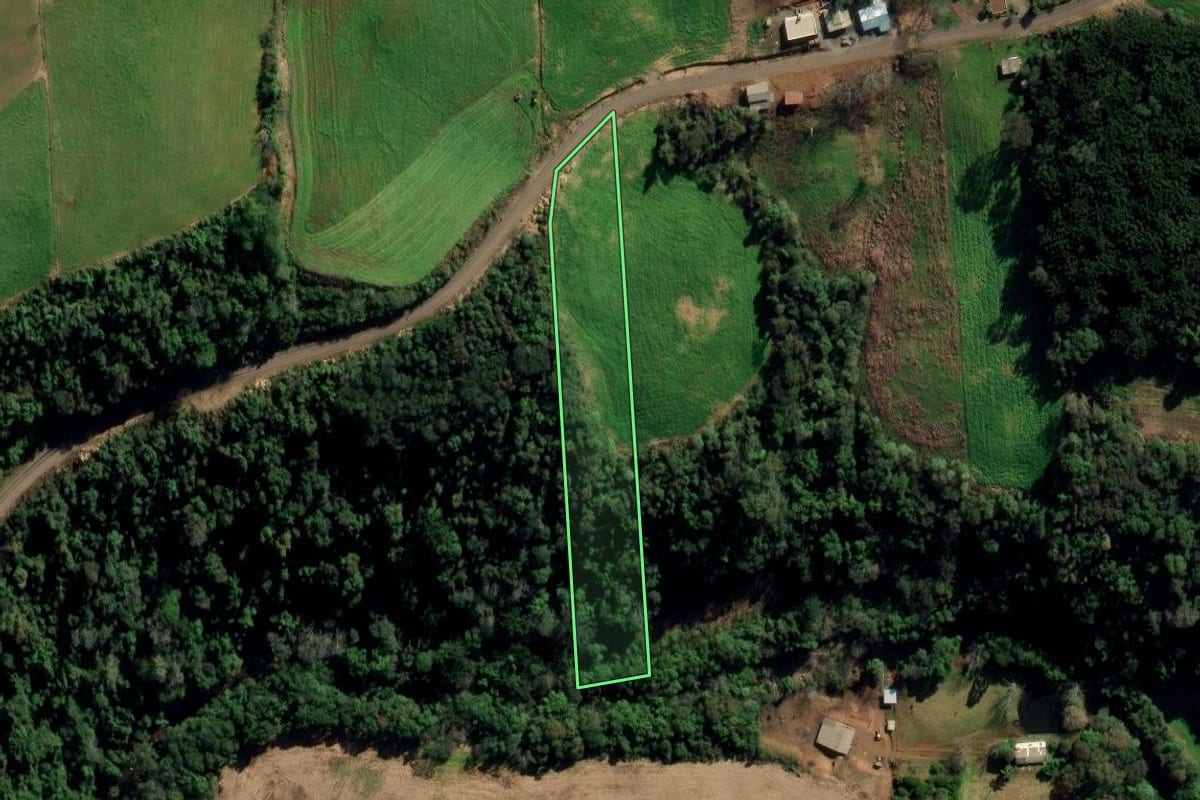 Imagem de satélite do imóvel rural em Montauri (RS), com o contorno declarado no CAR desenhado por cima.