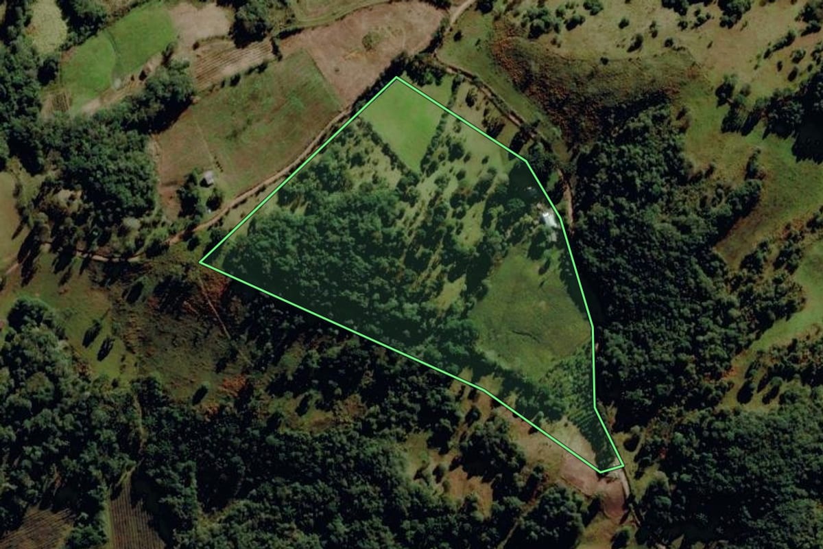Imagem de satélite do imóvel rural em Monte Alegre dos Campos (RS), com o contorno declarado no CAR desenhado por cima.