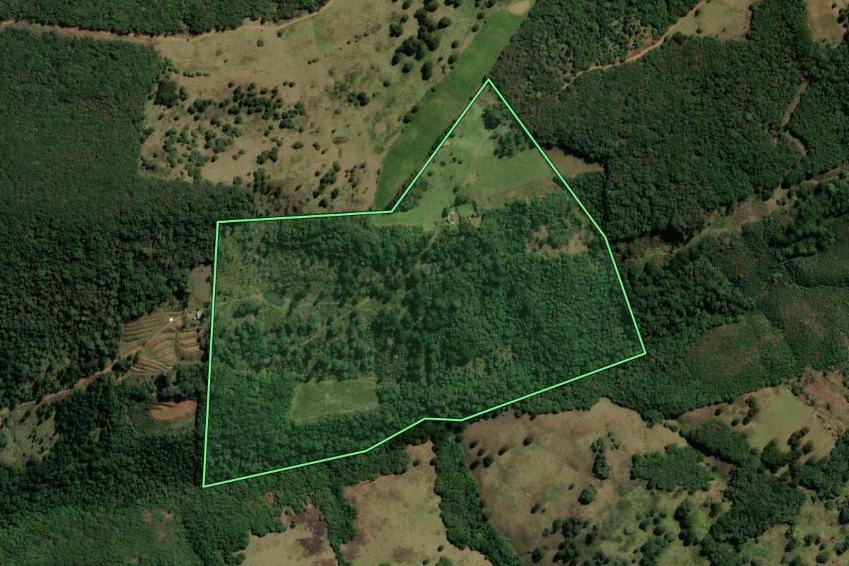 Imagem de satélite do imóvel rural em Monte Alegre dos Campos (RS), com o contorno declarado no CAR desenhado por cima.