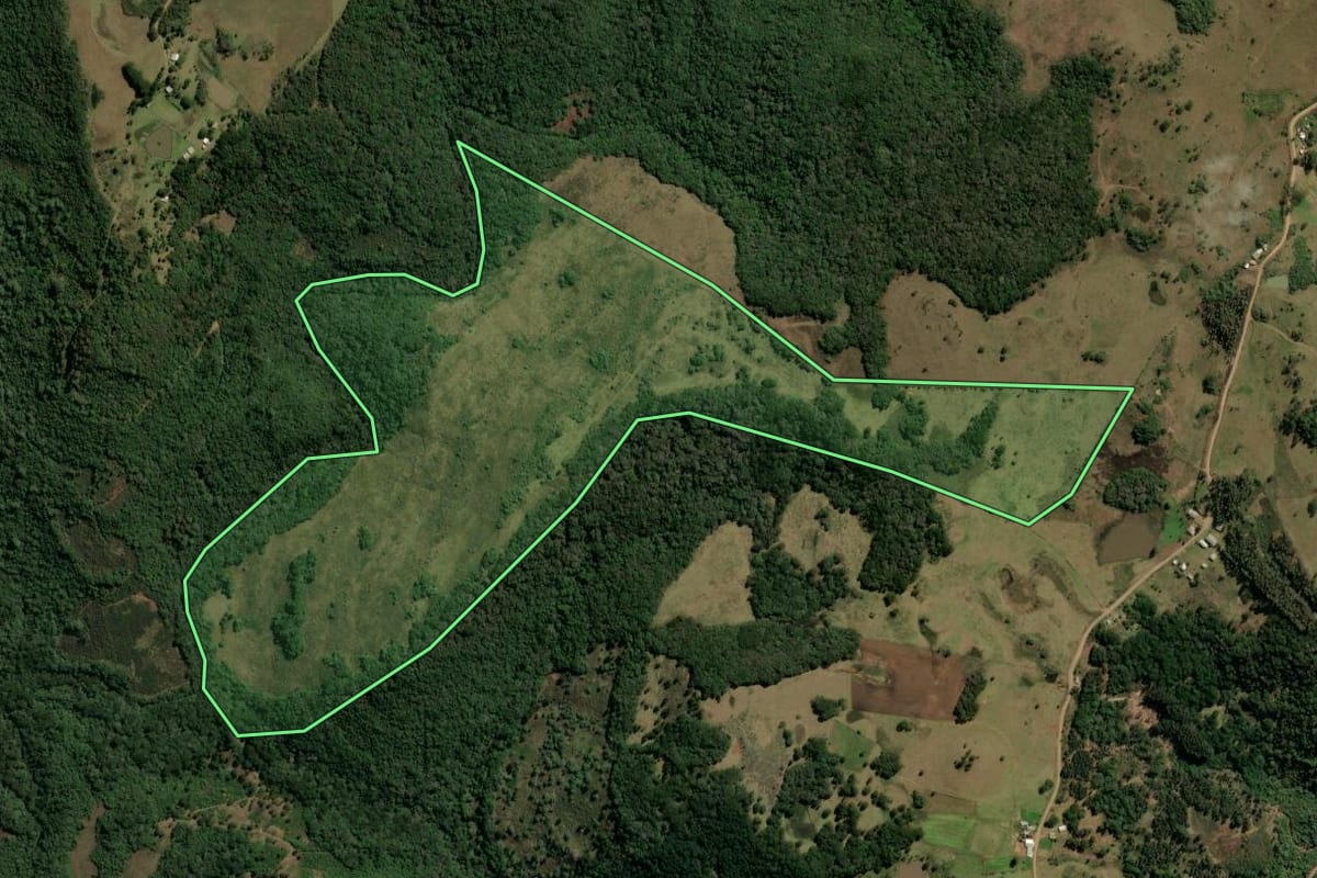 Imagem de satélite do imóvel rural em Monte Alegre dos Campos (RS), com o contorno declarado no CAR desenhado por cima.