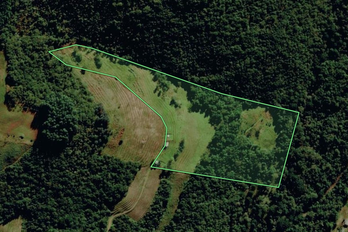 Imagem de satélite do imóvel rural em Monte Alegre dos Campos (RS), com o contorno declarado no CAR desenhado por cima.