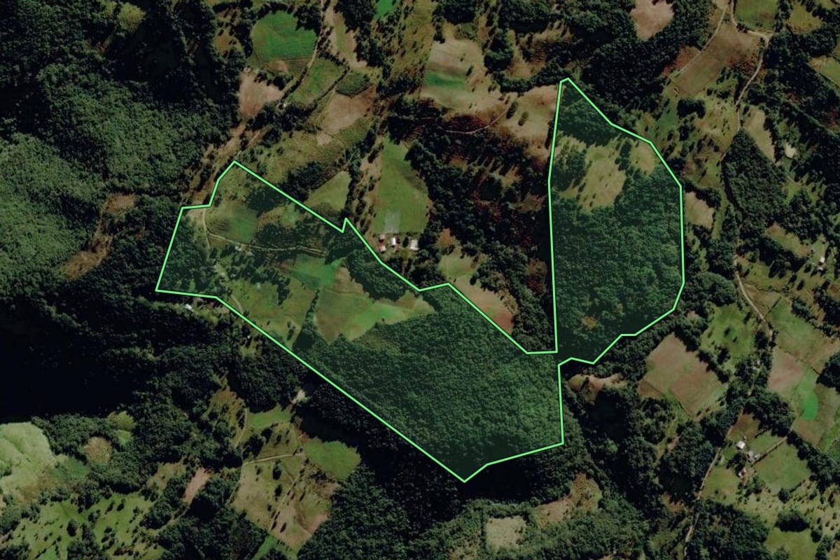 Imagem de satélite do imóvel rural em Monte Alegre dos Campos (RS), com o contorno declarado no CAR desenhado por cima.