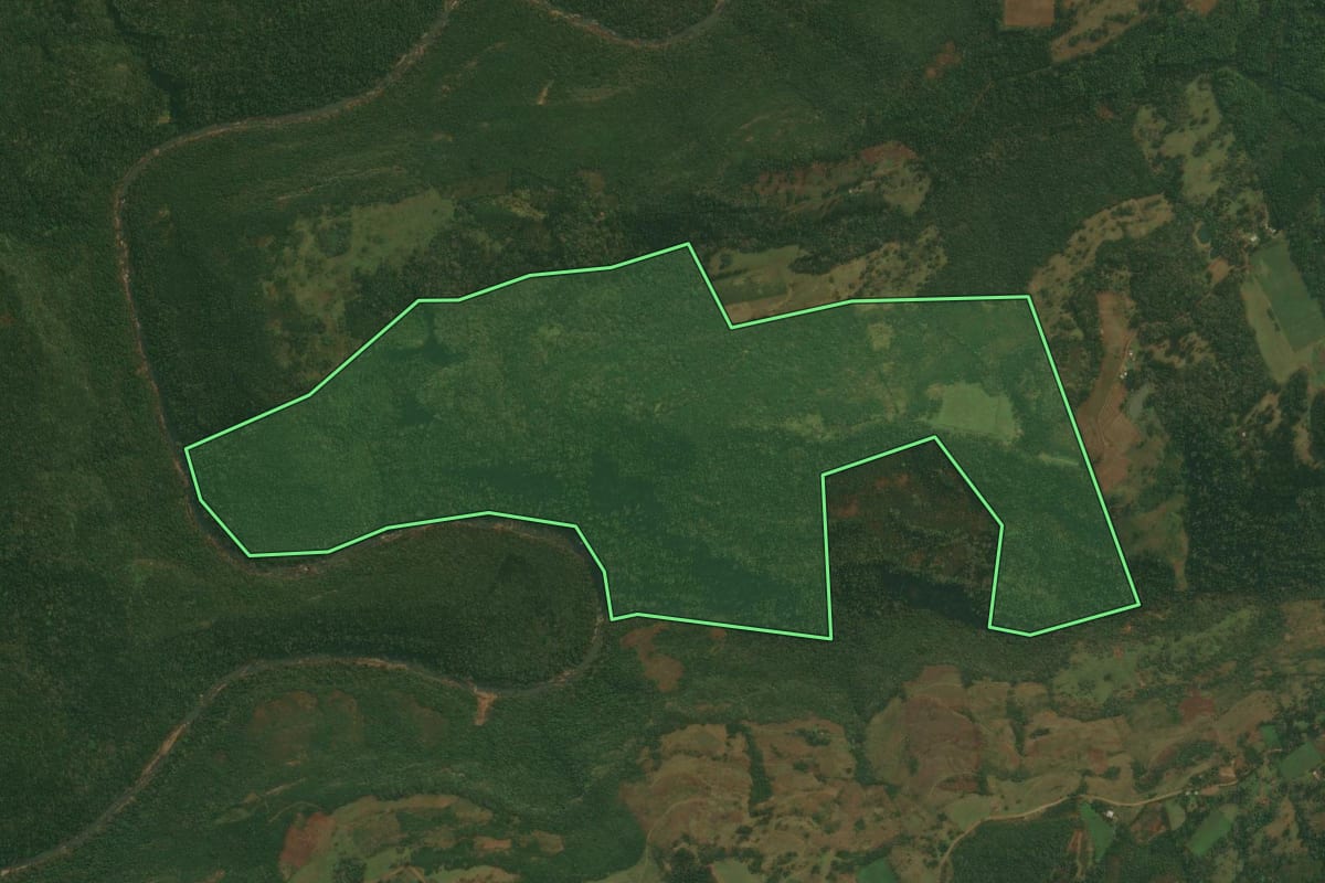 Imagem de satélite do imóvel rural em Monte Alegre dos Campos (RS), com o contorno declarado no CAR desenhado por cima.