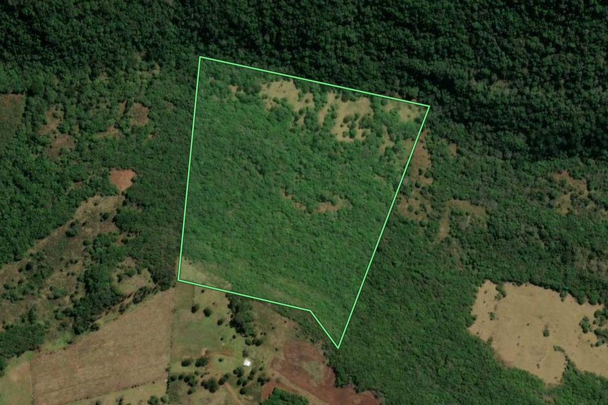 Imagem de satélite do imóvel rural em Monte Alegre dos Campos (RS), com o contorno declarado no CAR desenhado por cima.