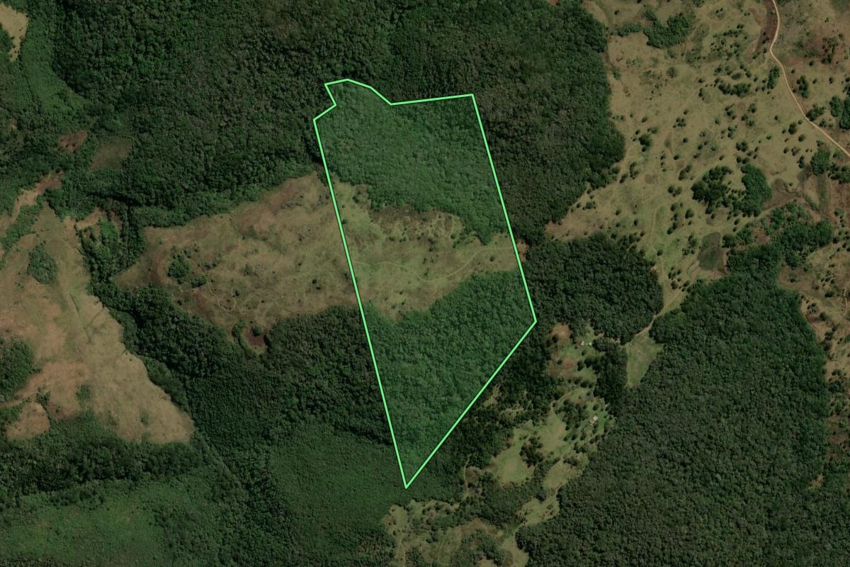 Imagem de satélite do imóvel rural em Monte Alegre dos Campos (RS), com o contorno declarado no CAR desenhado por cima.