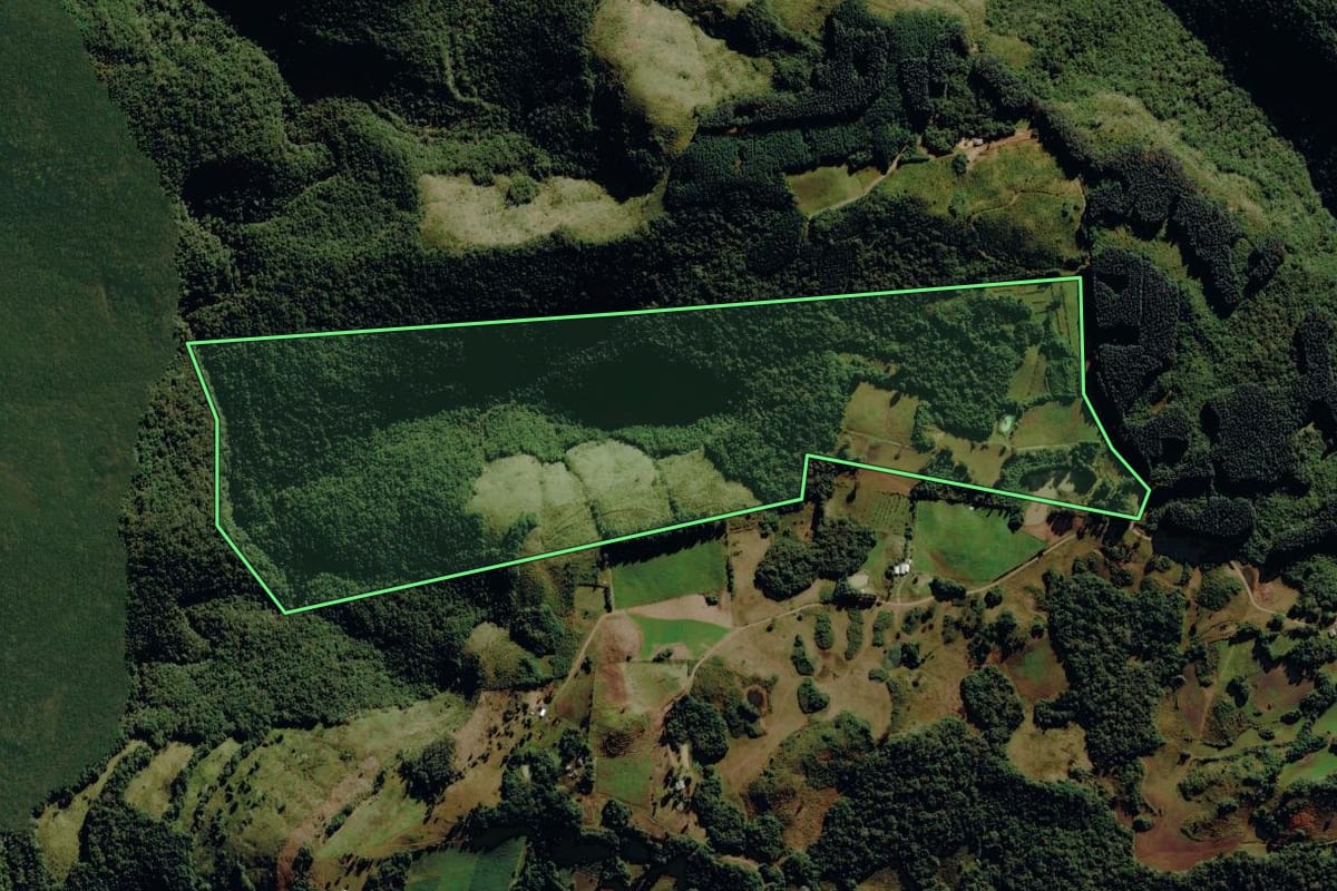 Imagem de satélite do imóvel rural em Monte Alegre dos Campos (RS), com o contorno declarado no CAR desenhado por cima.