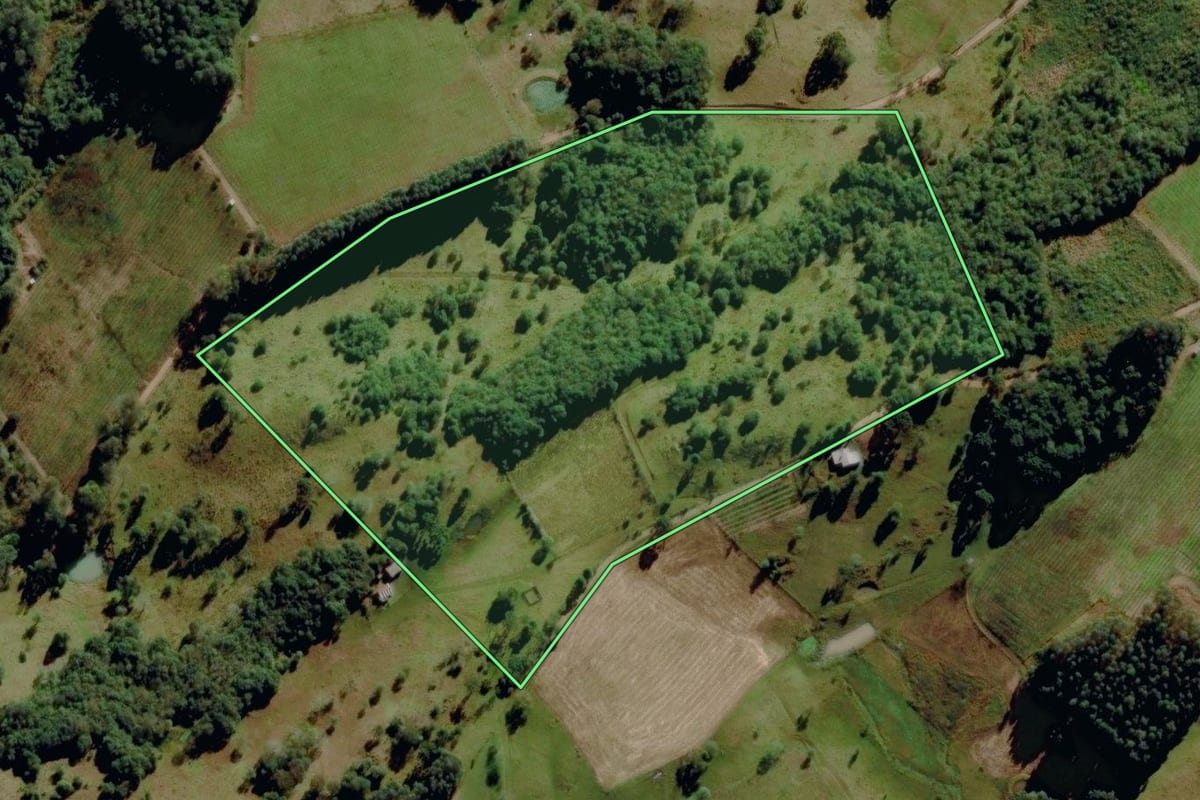 Imagem de satélite do imóvel rural em Monte Alegre dos Campos (RS), com o contorno declarado no CAR desenhado por cima.