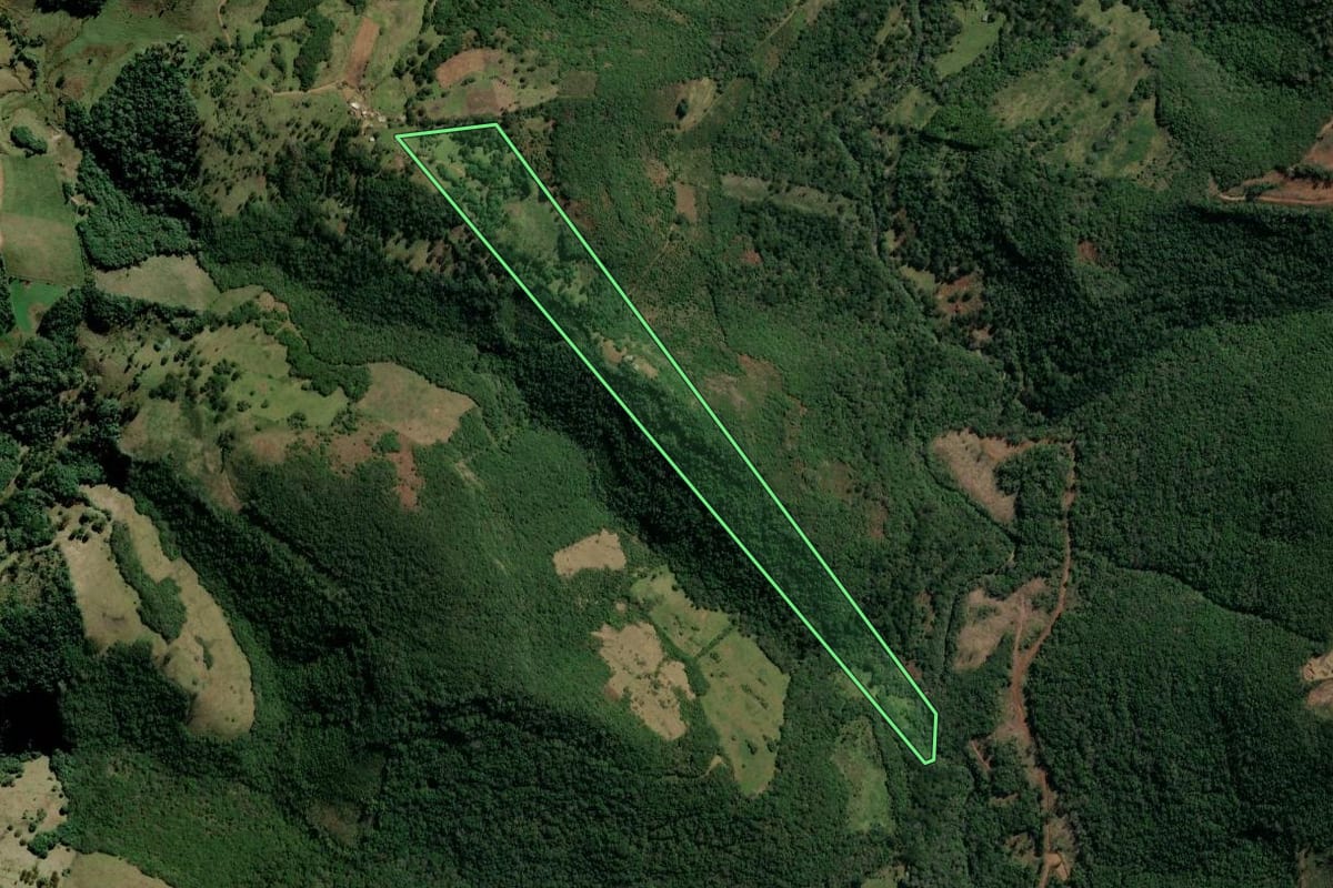 Imagem de satélite do imóvel rural em Monte Alegre dos Campos (RS), com o contorno declarado no CAR desenhado por cima.