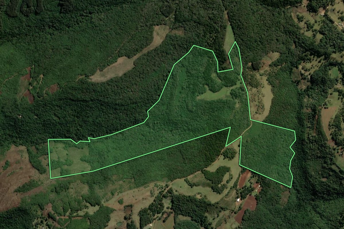Imagem de satélite do imóvel rural em Monte Alegre dos Campos (RS), com o contorno declarado no CAR desenhado por cima.