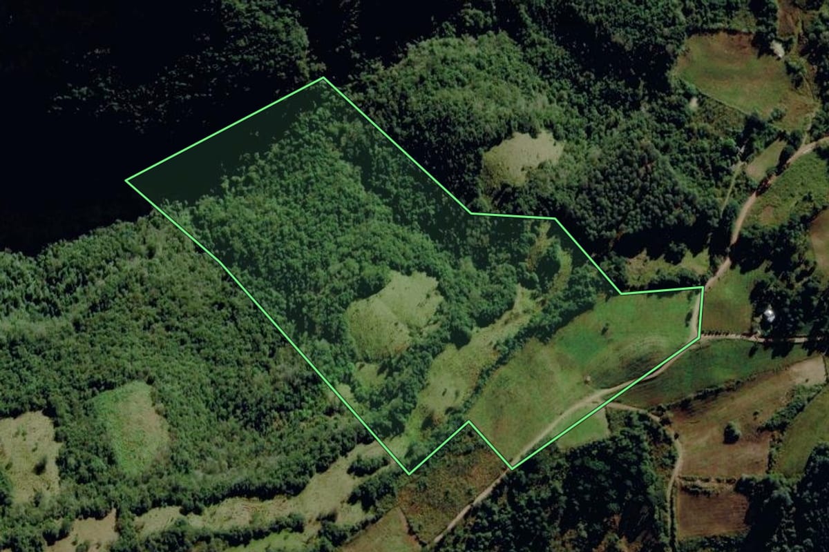 Imagem de satélite do imóvel rural em Monte Alegre dos Campos (RS), com o contorno declarado no CAR desenhado por cima.