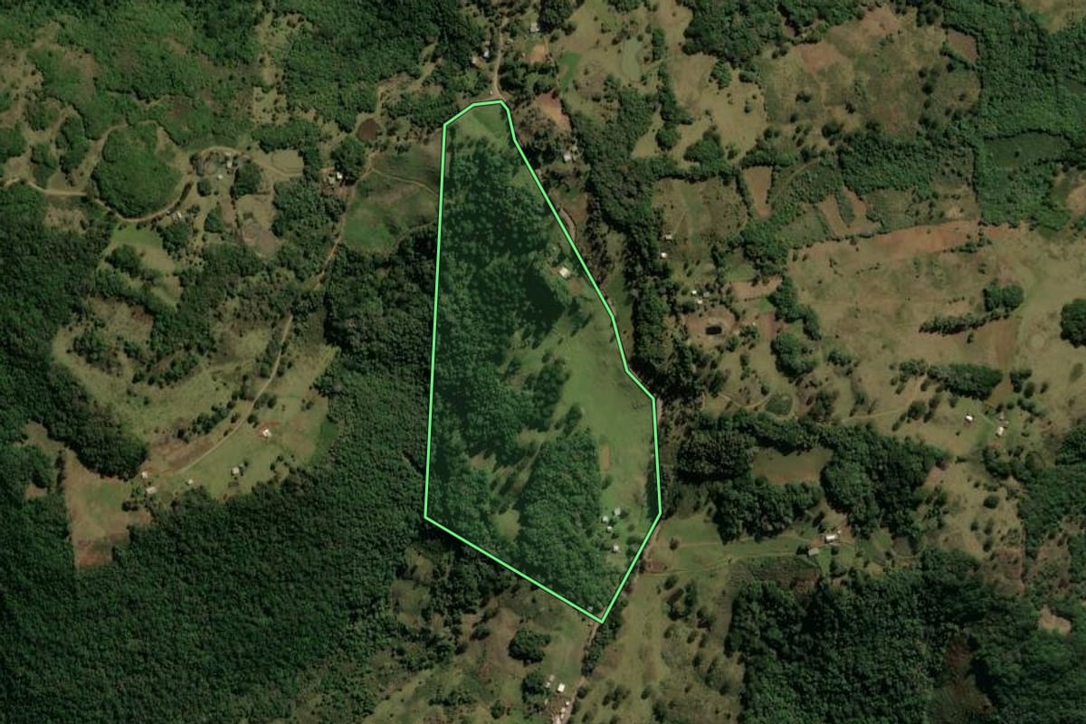 Imagem de satélite do imóvel rural em Monte Alegre dos Campos (RS), com o contorno declarado no CAR desenhado por cima.
