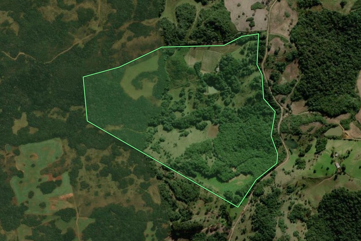 Imagem de satélite do imóvel rural em Monte Alegre dos Campos (RS), com o contorno declarado no CAR desenhado por cima.