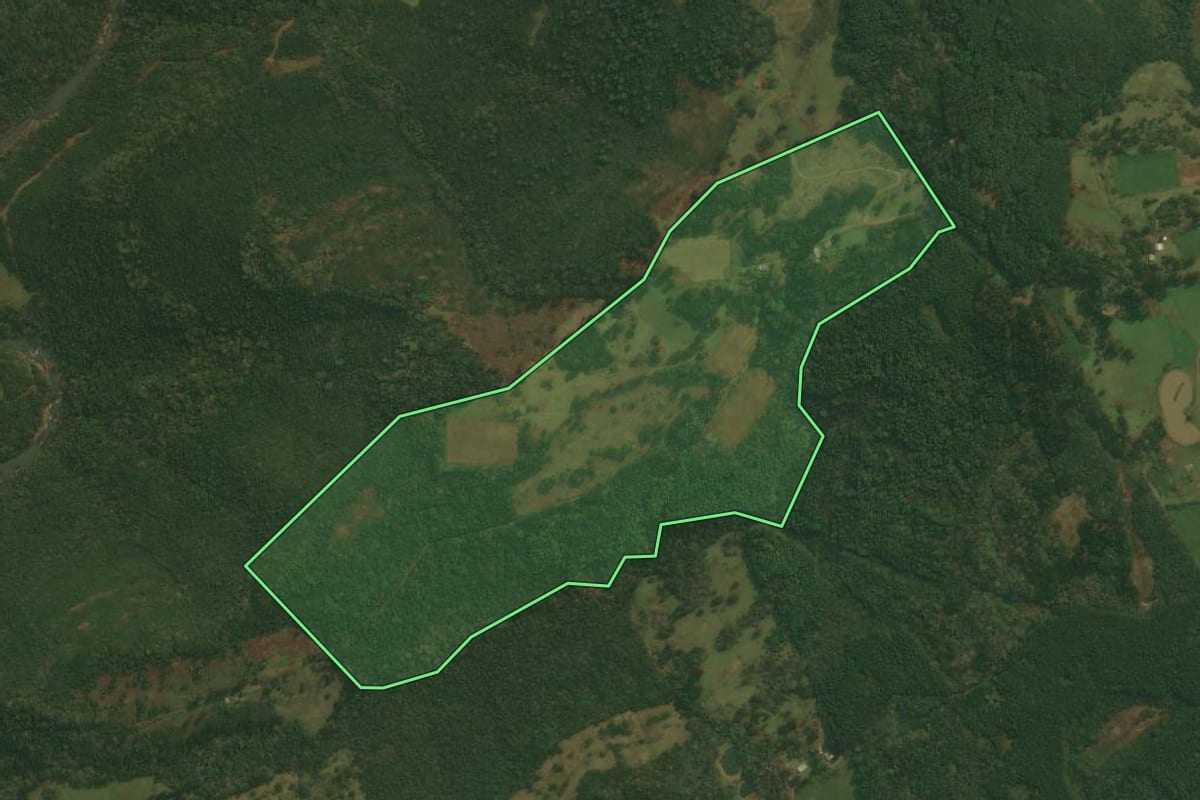 Imagem de satélite do imóvel rural em Monte Alegre dos Campos (RS), com o contorno declarado no CAR desenhado por cima.