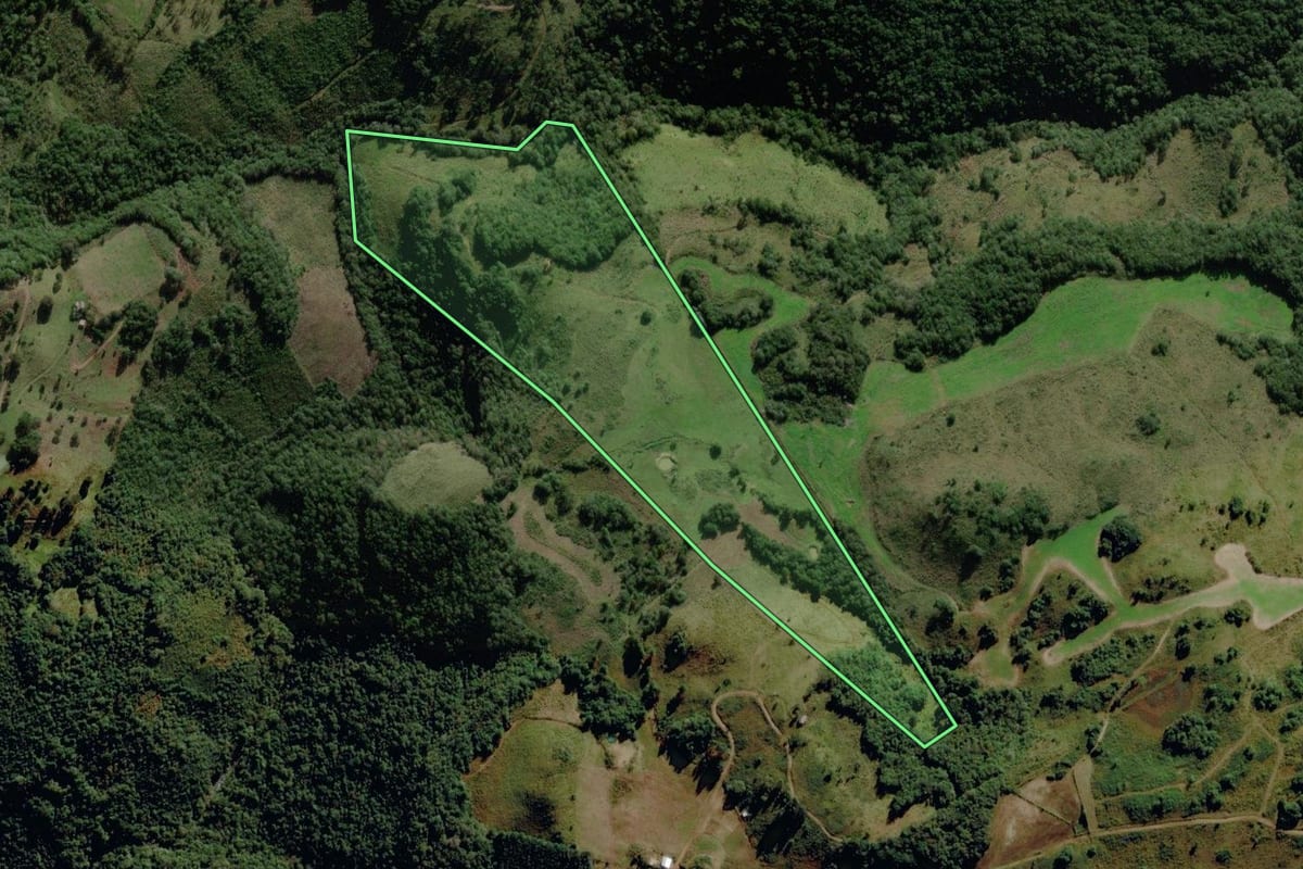 Imagem de satélite do imóvel rural em Monte Alegre dos Campos (RS), com o contorno declarado no CAR desenhado por cima.