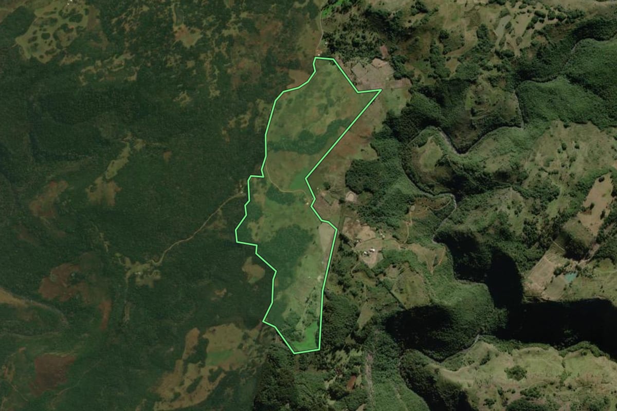 Imagem de satélite do imóvel rural em Monte Alegre dos Campos (RS), com o contorno declarado no CAR desenhado por cima.