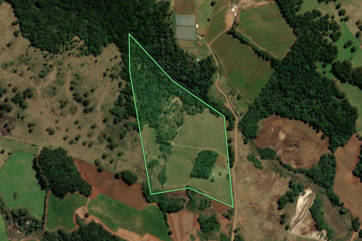 Imagem de satélite do imóvel rural em Monte Alegre dos Campos (RS), com o contorno declarado no CAR desenhado por cima.