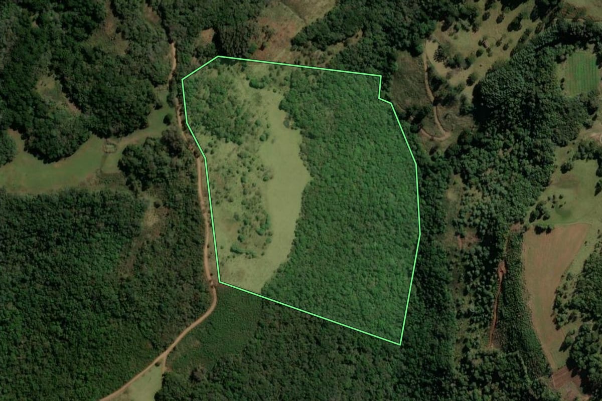 Imagem de satélite do imóvel rural em Monte Alegre dos Campos (RS), com o contorno declarado no CAR desenhado por cima.