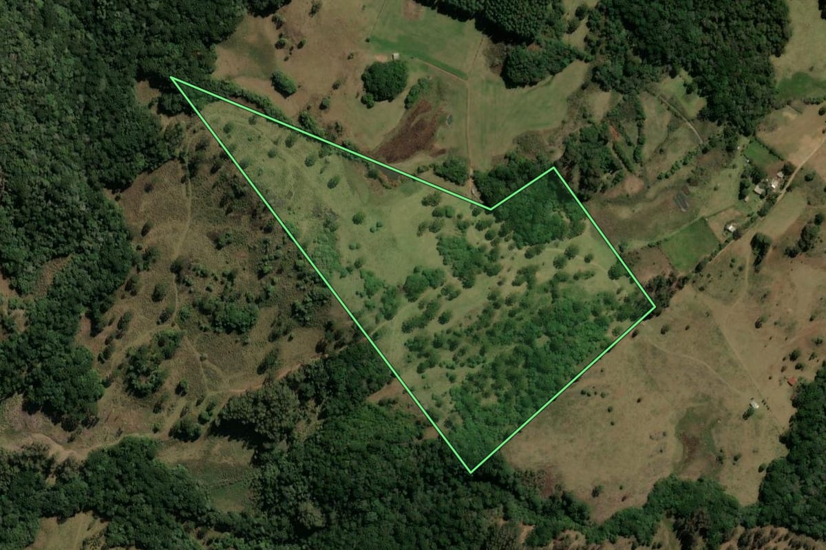 Imagem de satélite do imóvel rural em Monte Alegre dos Campos (RS), com o contorno declarado no CAR desenhado por cima.