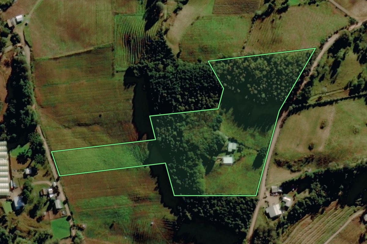 Imagem de satélite do imóvel rural em Monte Alegre dos Campos (RS), com o contorno declarado no CAR desenhado por cima.