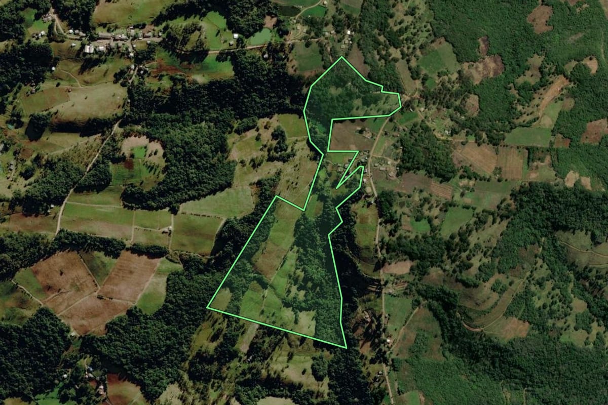 Imagem de satélite do imóvel rural em Monte Alegre dos Campos (RS), com o contorno declarado no CAR desenhado por cima.