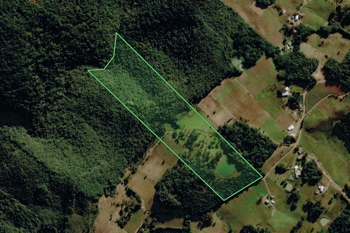 Imagem de satélite do imóvel rural em Monte Alegre dos Campos (RS), com o contorno declarado no CAR desenhado por cima.
