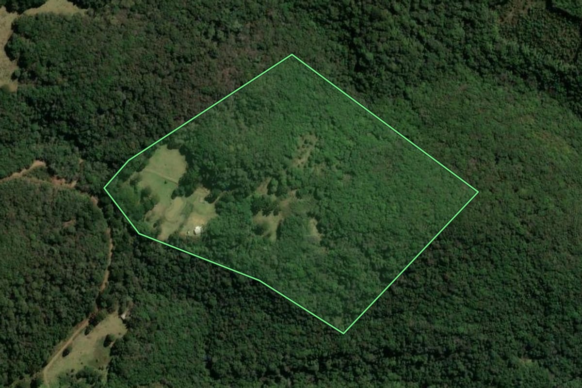 Imagem de satélite do imóvel rural em Monte Alegre dos Campos (RS), com o contorno declarado no CAR desenhado por cima.
