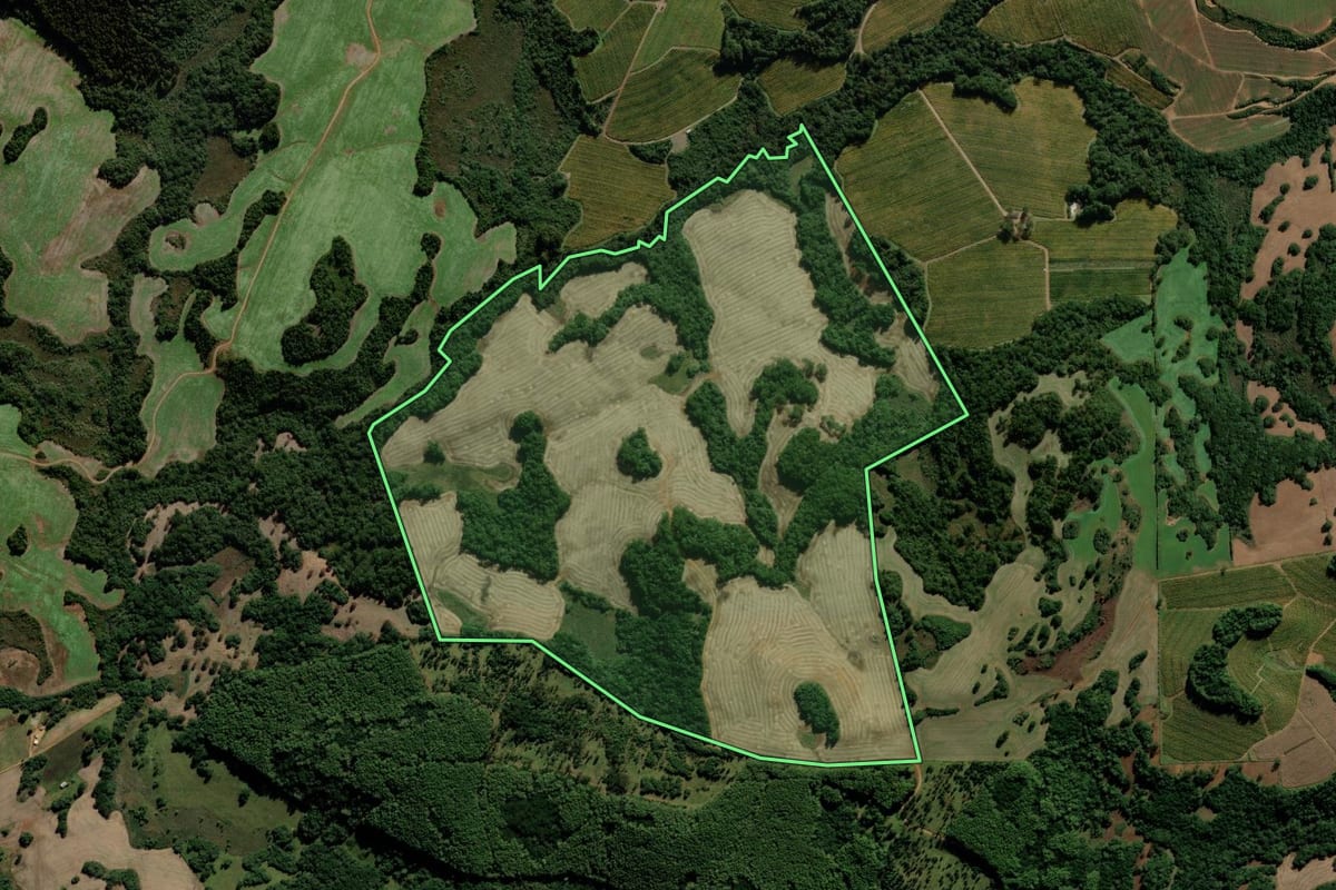 Imagem de satélite do imóvel rural em Monte Alegre dos Campos (RS), com o contorno declarado no CAR desenhado por cima.