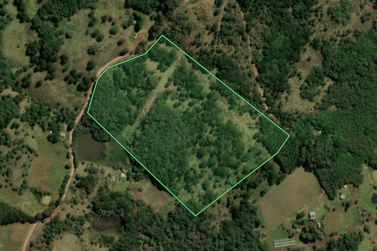 Imagem de satélite do imóvel rural em Monte Alegre dos Campos (RS), com o contorno declarado no CAR desenhado por cima.