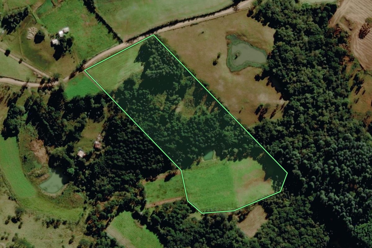Imagem de satélite do imóvel rural em Monte Alegre dos Campos (RS), com o contorno declarado no CAR desenhado por cima.