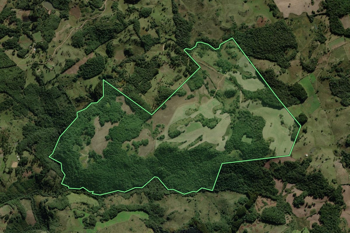 Imagem de satélite do imóvel rural em Monte Alegre dos Campos (RS), com o contorno declarado no CAR desenhado por cima.