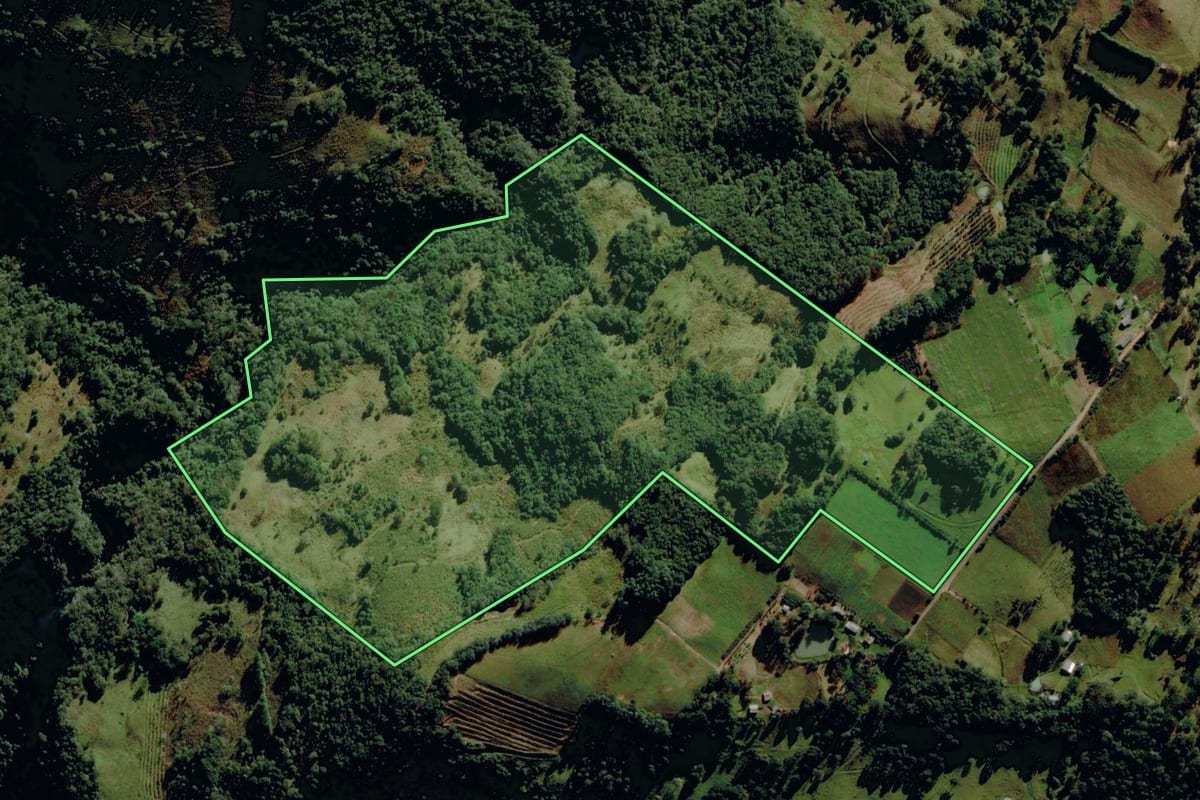 Imagem de satélite do imóvel rural em Monte Alegre dos Campos (RS), com o contorno declarado no CAR desenhado por cima.