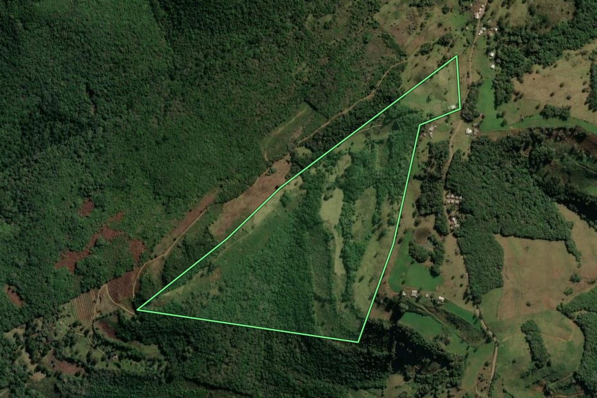 Imagem de satélite do imóvel rural em Monte Alegre dos Campos (RS), com o contorno declarado no CAR desenhado por cima.
