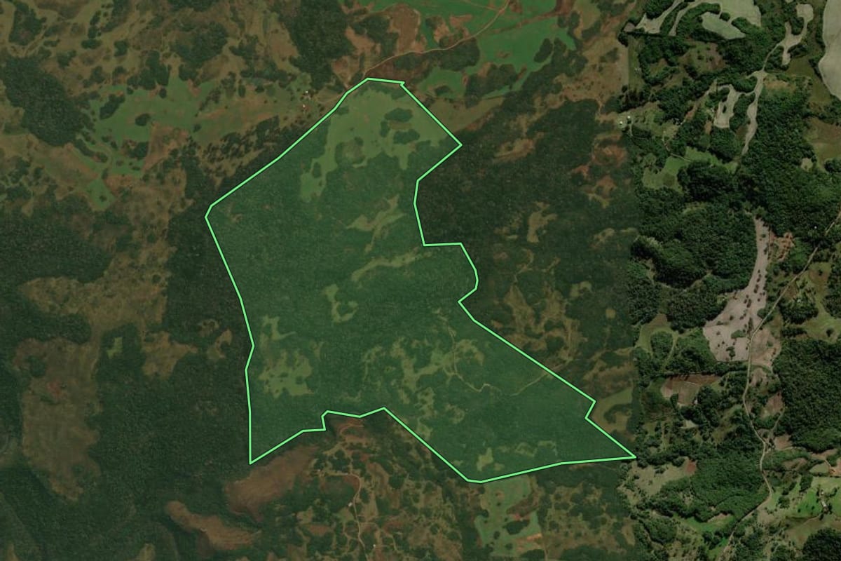 Imagem de satélite do imóvel rural em Monte Alegre dos Campos (RS), com o contorno declarado no CAR desenhado por cima.