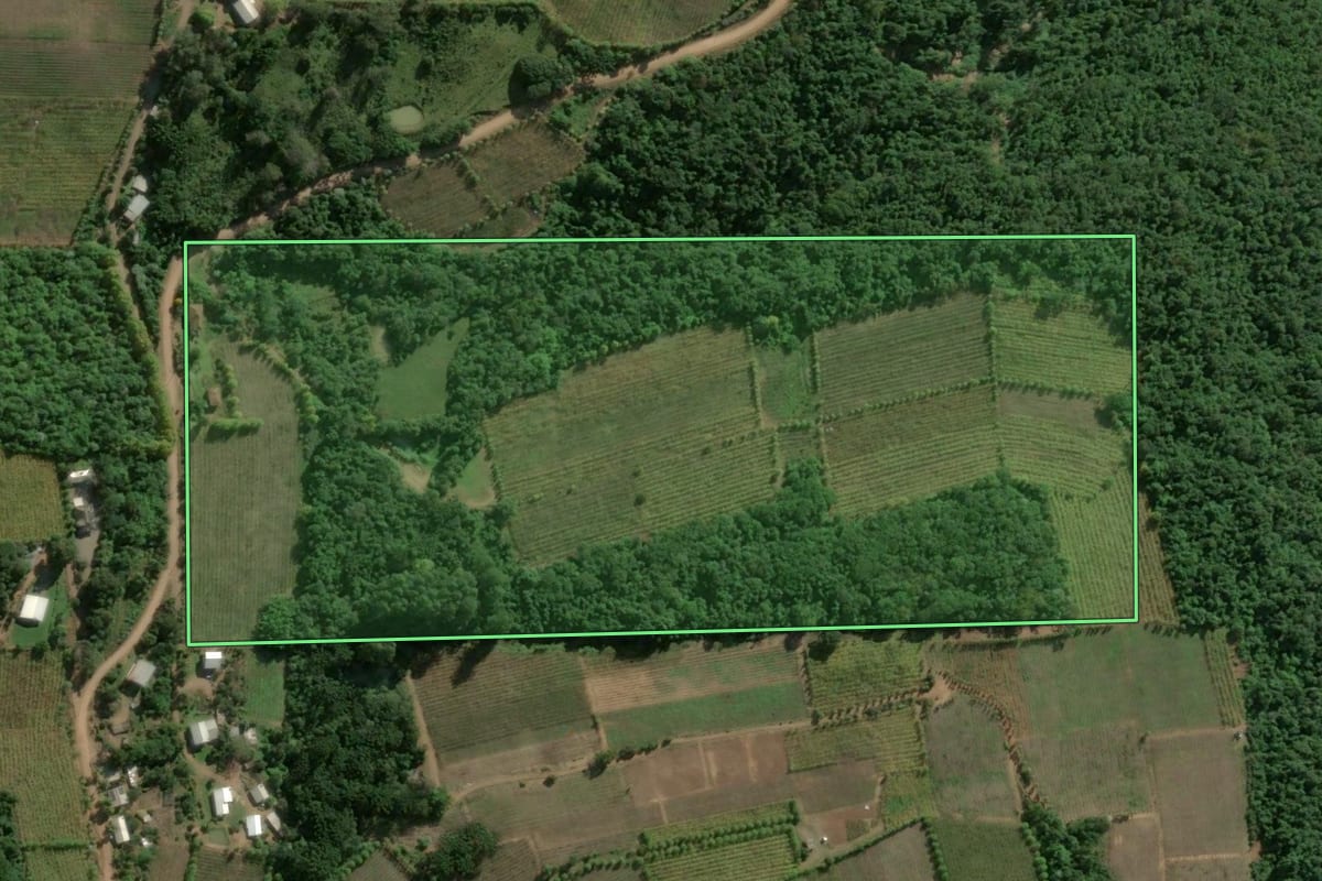Imagem de satélite do imóvel rural em Monte Belo do Sul (RS), com o contorno declarado no CAR desenhado por cima.