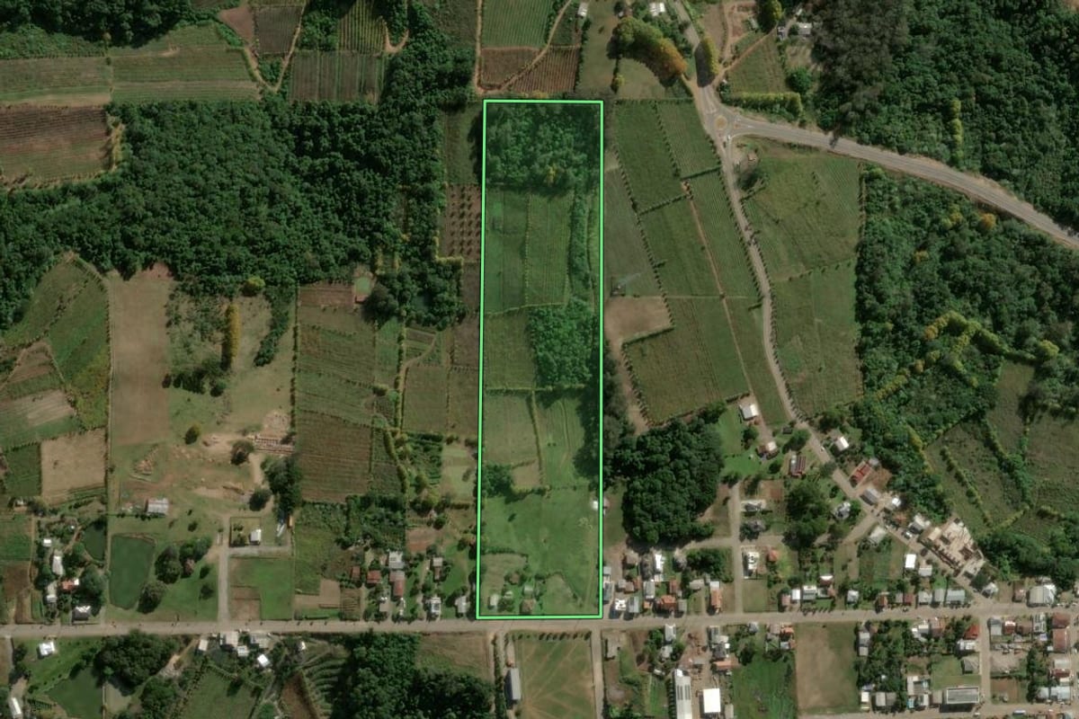 Imagem de satélite do imóvel rural em Monte Belo do Sul (RS), com o contorno declarado no CAR desenhado por cima.