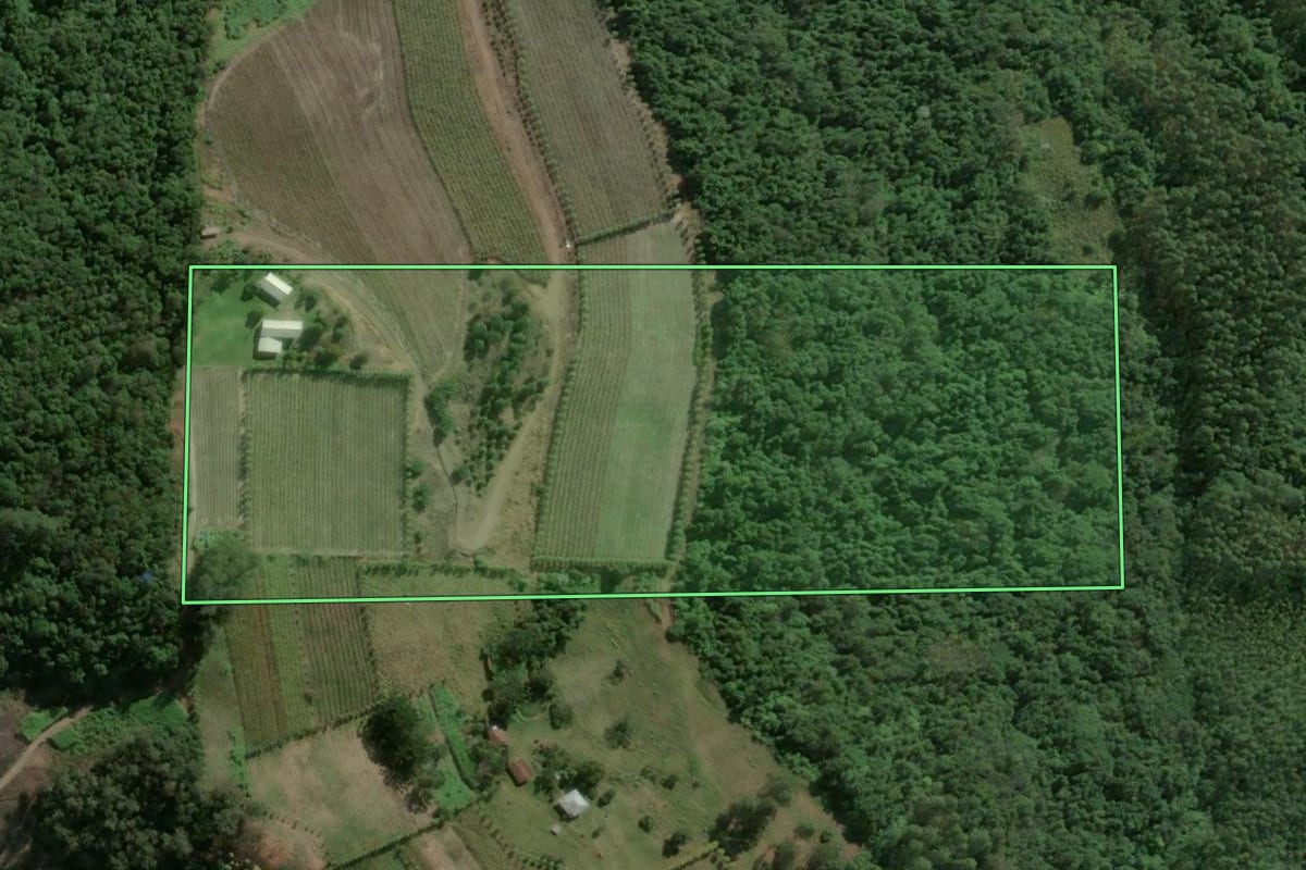 Imagem de satélite do imóvel rural em Monte Belo do Sul (RS), com o contorno declarado no CAR desenhado por cima.