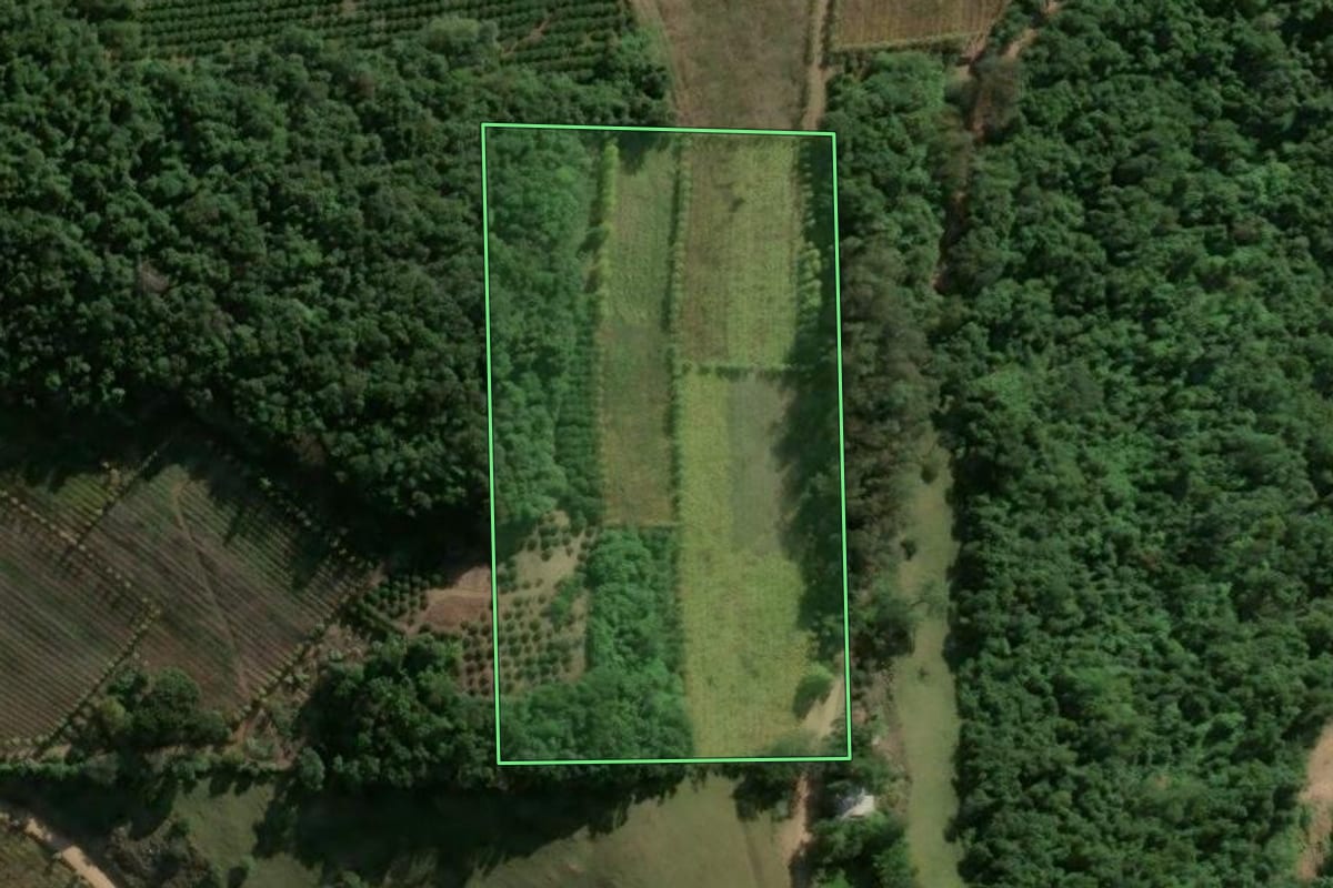 Imagem de satélite do imóvel rural em Monte Belo do Sul (RS), com o contorno declarado no CAR desenhado por cima.