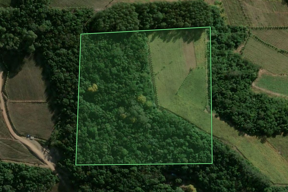 Imagem de satélite do imóvel rural em Monte Belo do Sul (RS), com o contorno declarado no CAR desenhado por cima.