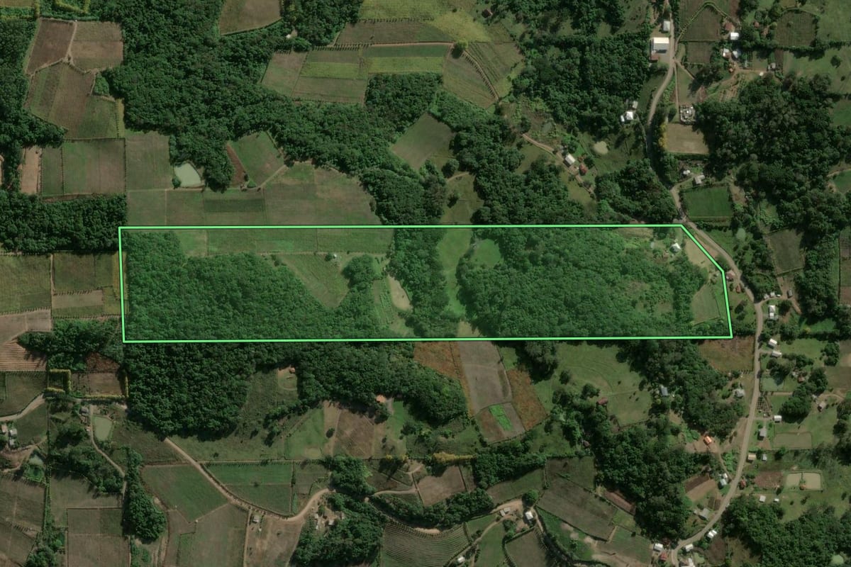 Imagem de satélite do imóvel rural em Monte Belo do Sul (RS), com o contorno declarado no CAR desenhado por cima.