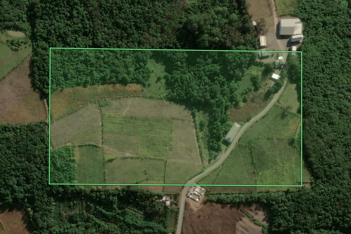 Imagem de satélite do imóvel rural em Monte Belo do Sul (RS), com o contorno declarado no CAR desenhado por cima.