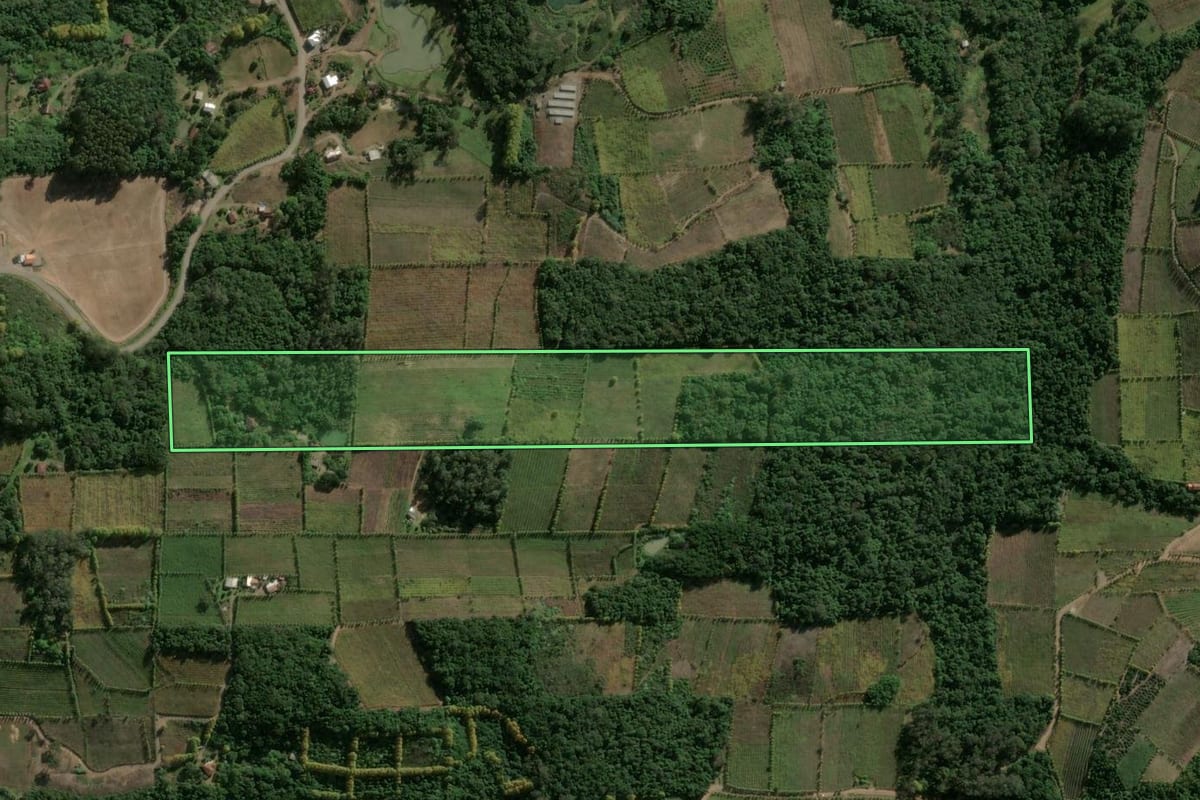 Imagem de satélite do imóvel rural em Monte Belo do Sul (RS), com o contorno declarado no CAR desenhado por cima.