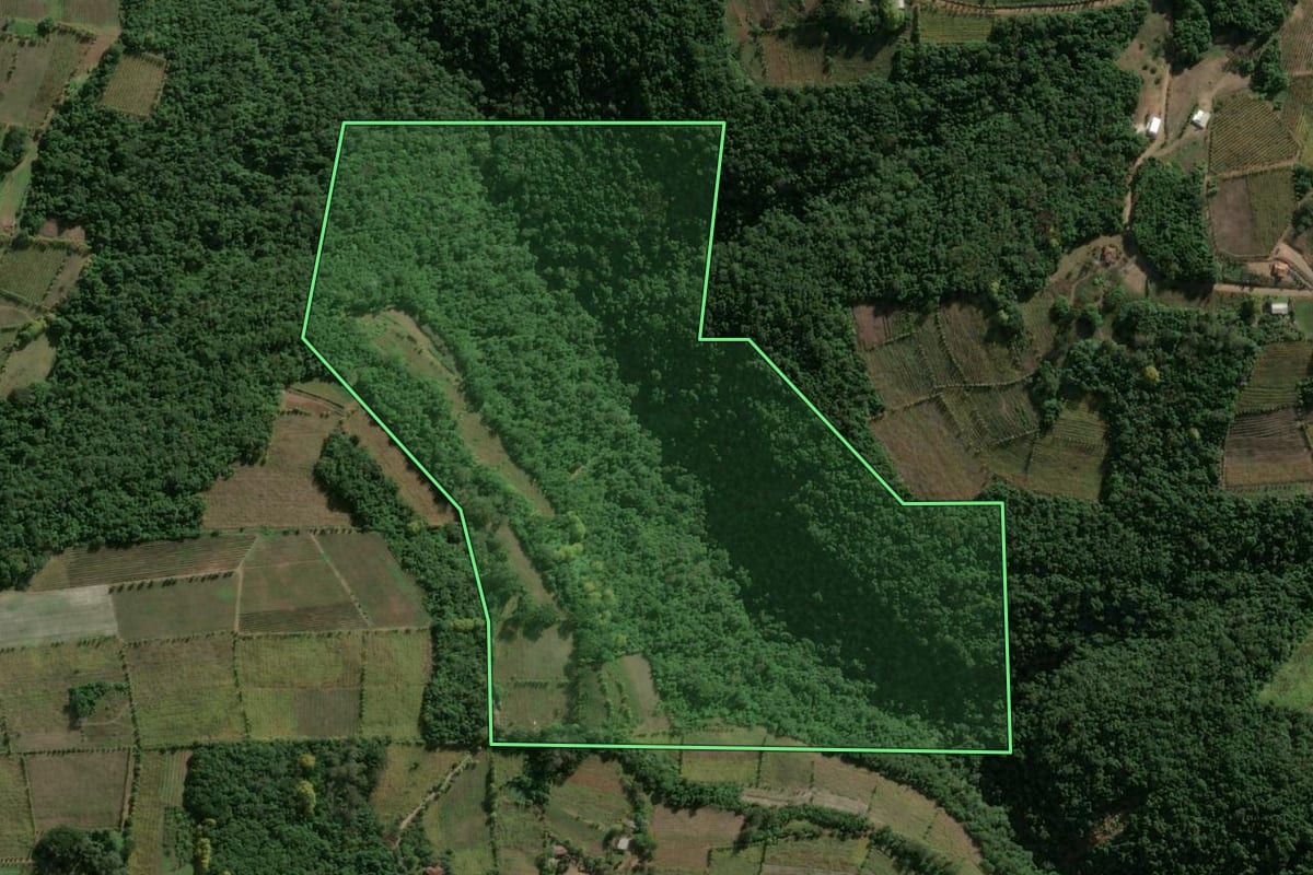Imagem de satélite do imóvel rural em Monte Belo do Sul (RS), com o contorno declarado no CAR desenhado por cima.