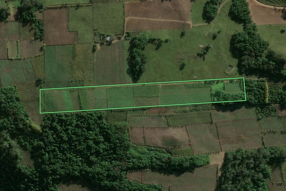 Imagem de satélite do imóvel rural em Monte Belo do Sul (RS), com o contorno declarado no CAR desenhado por cima.