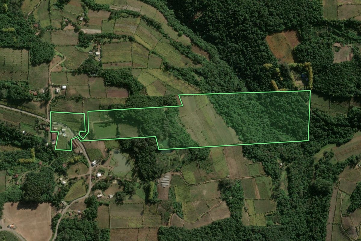 Imagem de satélite do imóvel rural em Monte Belo do Sul (RS), com o contorno declarado no CAR desenhado por cima.