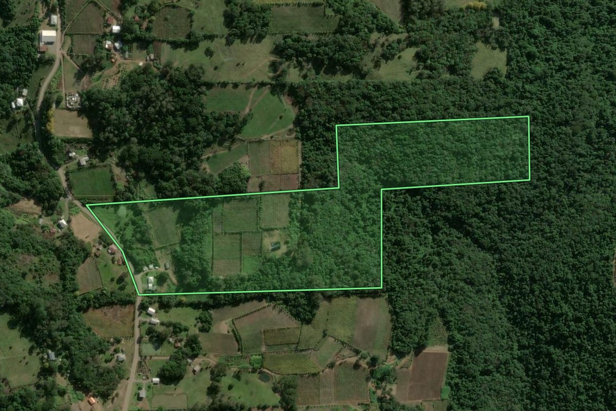 Imagem de satélite do imóvel rural em Monte Belo do Sul (RS), com o contorno declarado no CAR desenhado por cima.
