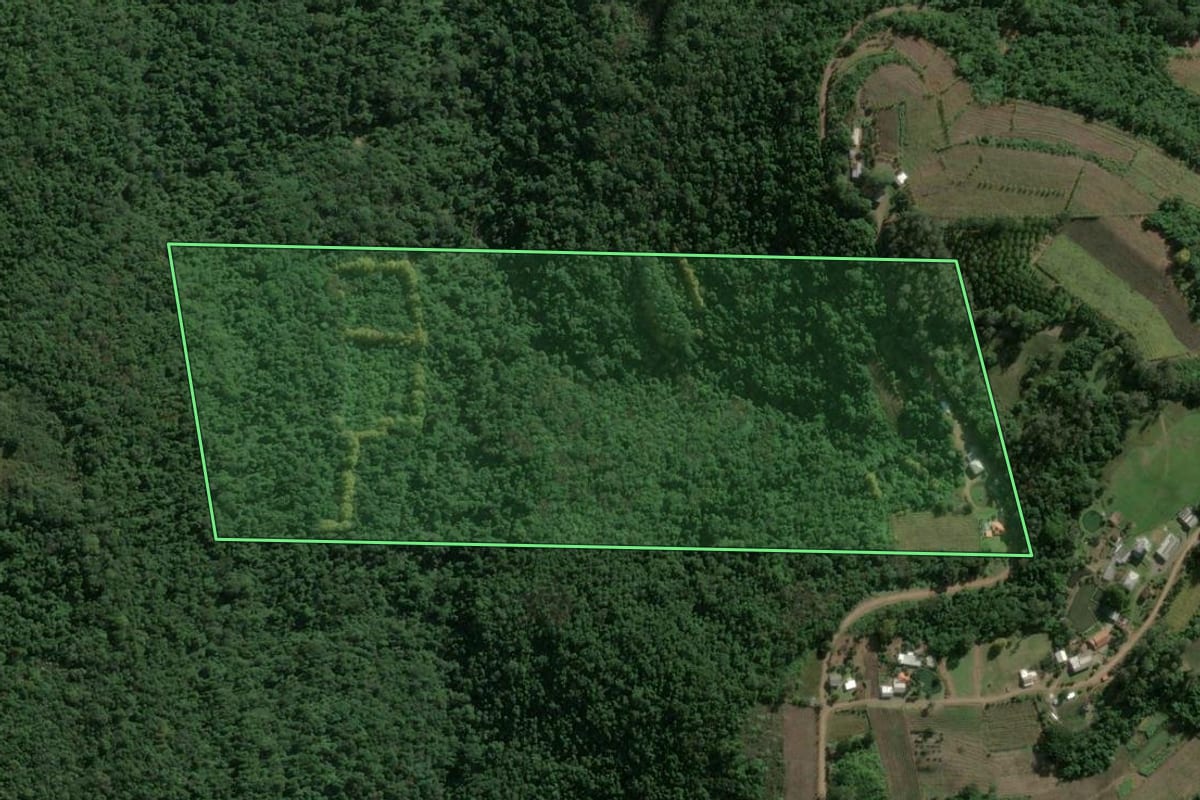 Imagem de satélite do imóvel rural em Monte Belo do Sul (RS), com o contorno declarado no CAR desenhado por cima.